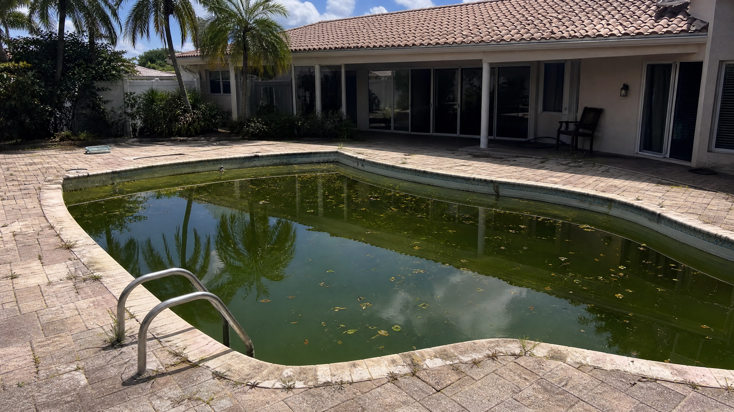 Same pool before PM Pools treatment — green and neglected